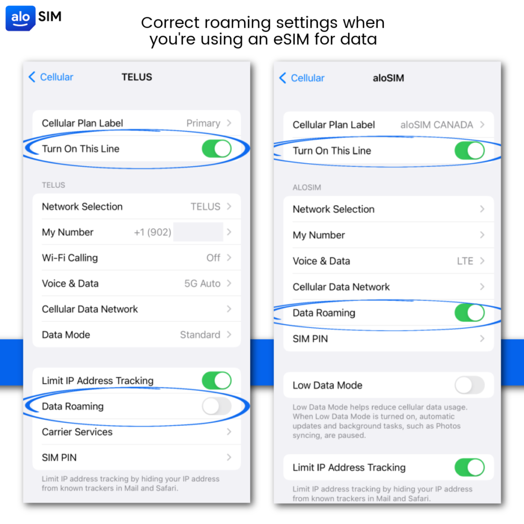 Correct eSIM roaming settings