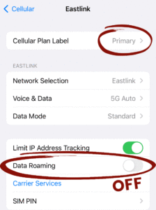 What are the correct roaming settings when using eSIM?