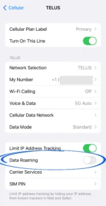 Data Roaming iPhone eSIM setting