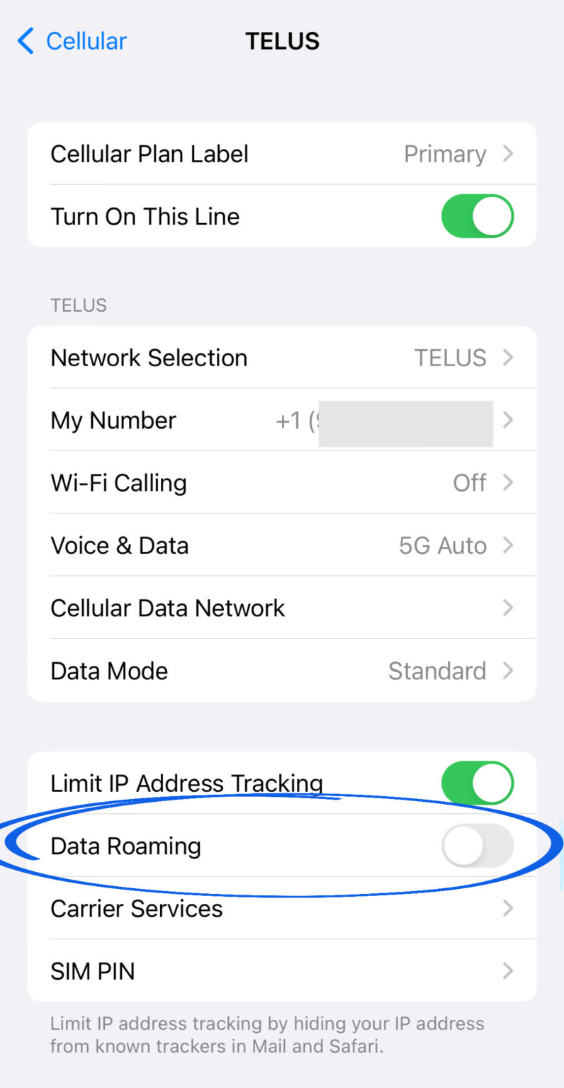 esim card plans