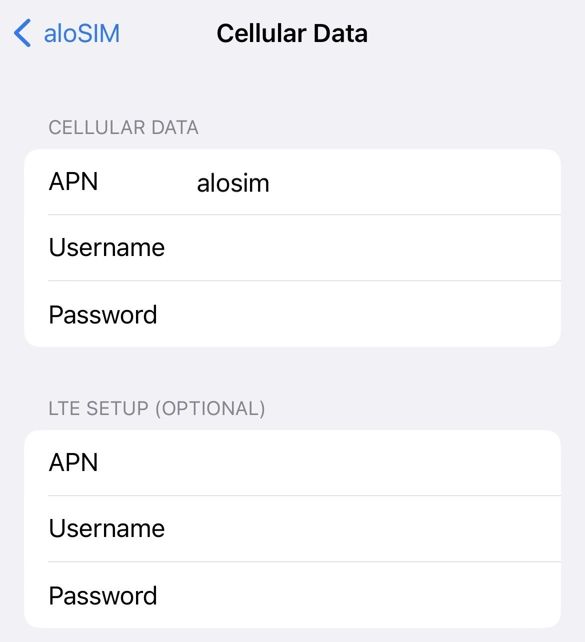 Data eSIM iPhone settings (with examples) | aloSIM