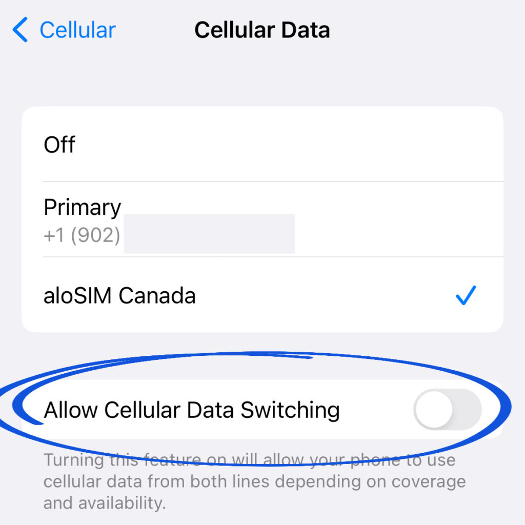 data-esim-iphone-settings-with-examples-alosim