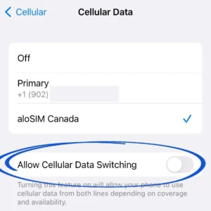 eSIM Allow Cellular Data Switching