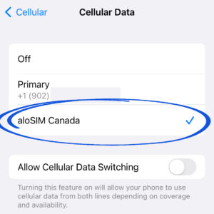 iPhone eSIM Cellular Data Source