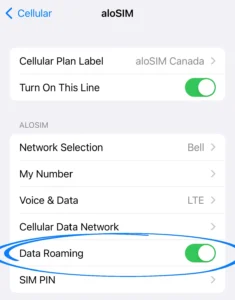 eSIM Data Roaming ON