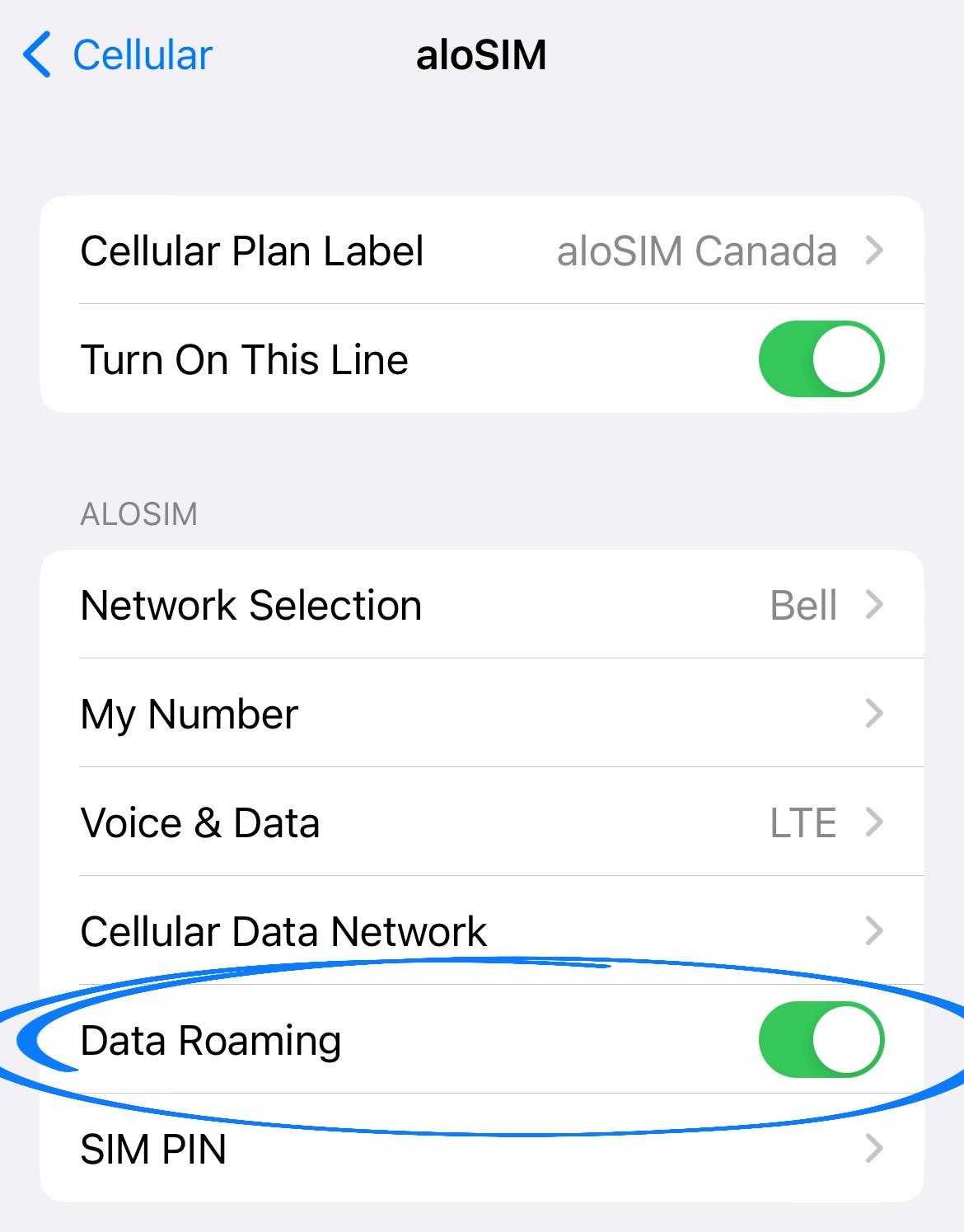 data-esim-iphone-settings-with-examples-alosim