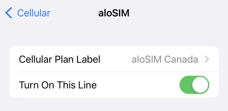 Data eSIM iPhone settings (with examples) | aloSIM