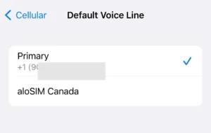 iPhone eSIM setting for Default Voice Line