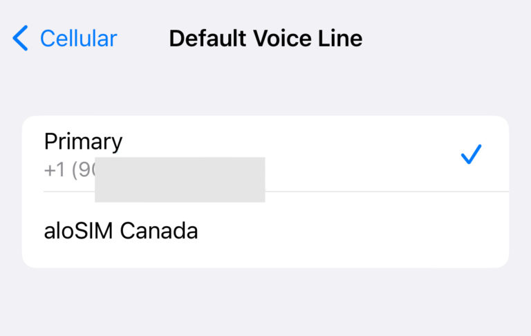 Data eSIM iPhone settings (with examples) | aloSIM