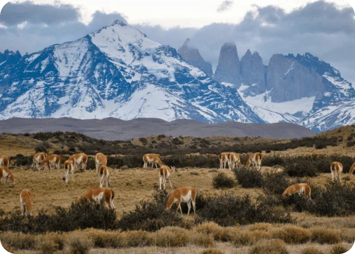 chile-esim-esim1