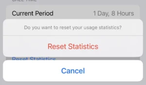 How to reset your iPhone data usage