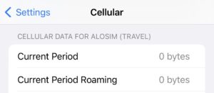 How to reset your iPhone data usage