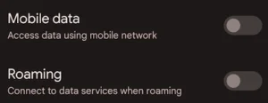 Google Pixel eSIM setting for your Primary plan