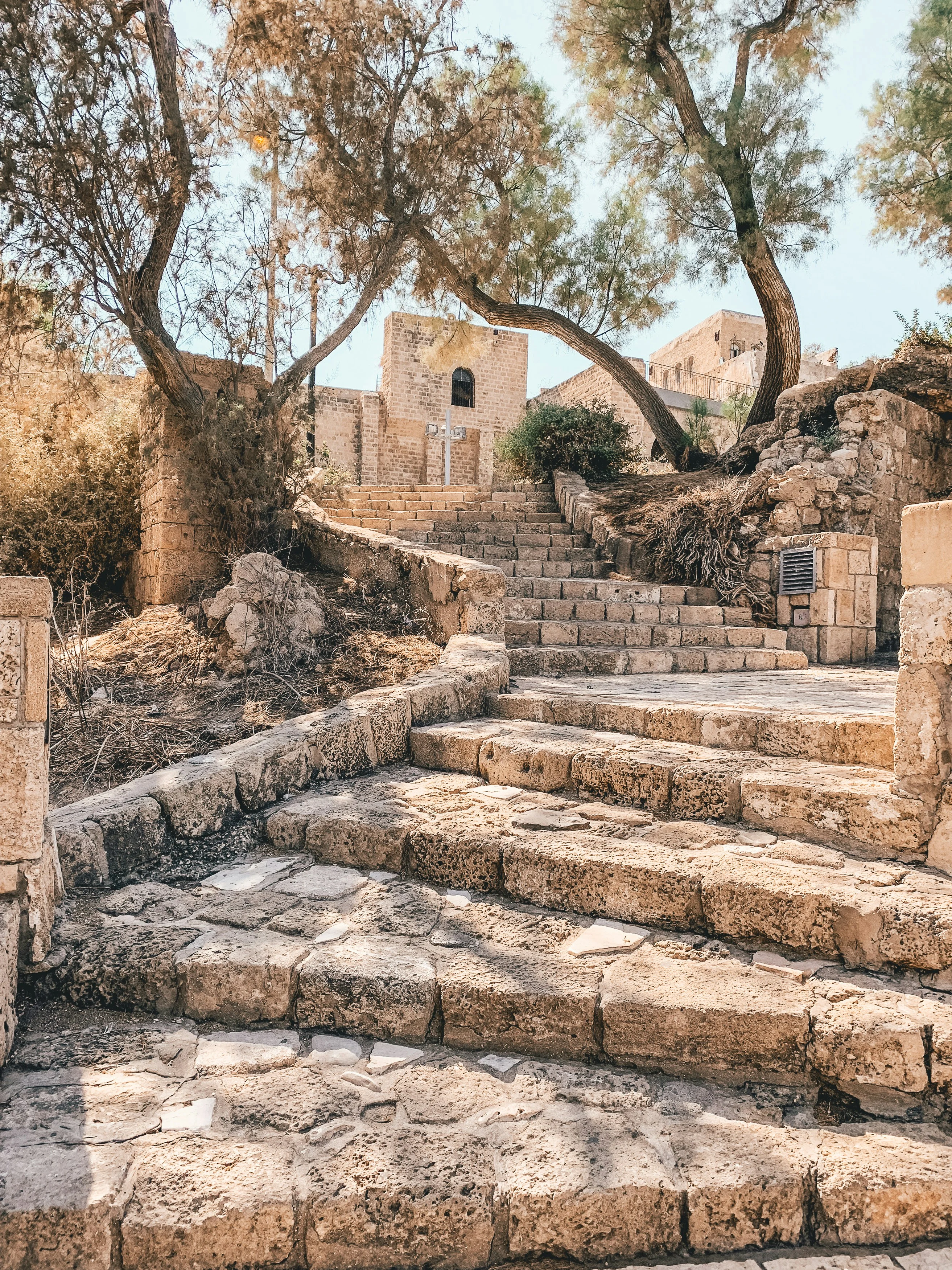 Israel-esim-data-from-alosim