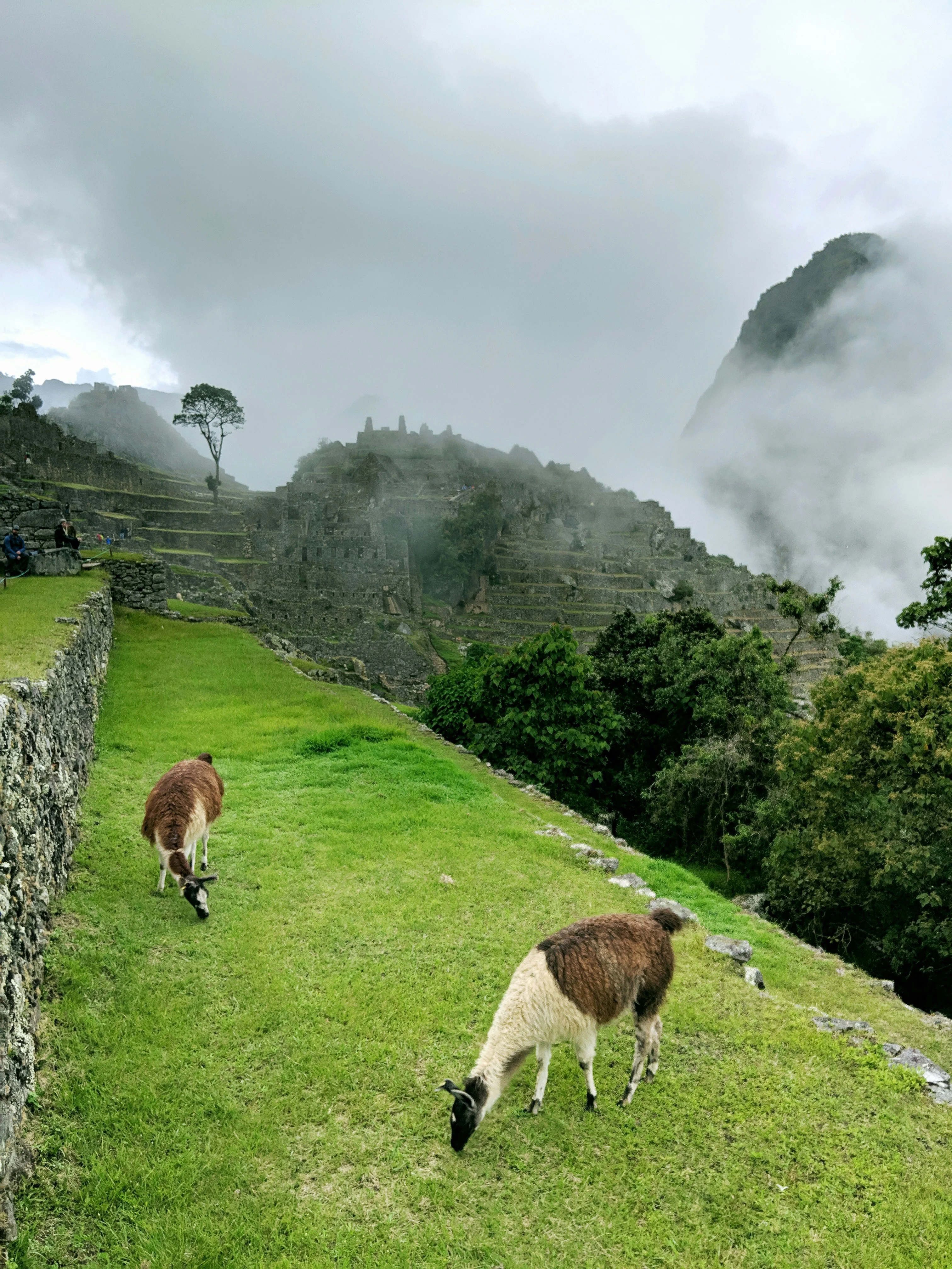 south-america-esim-data-from-alosim