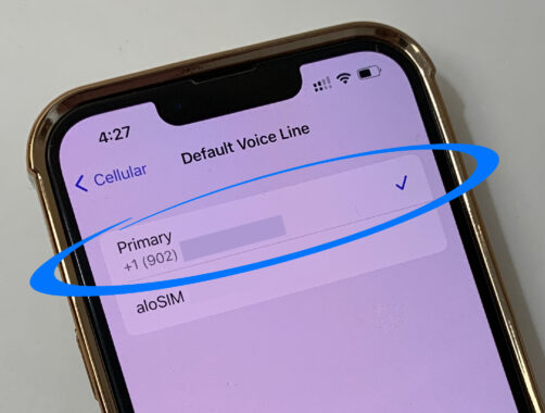 Activate iPhone eSIM - Default Voice line is always Primary