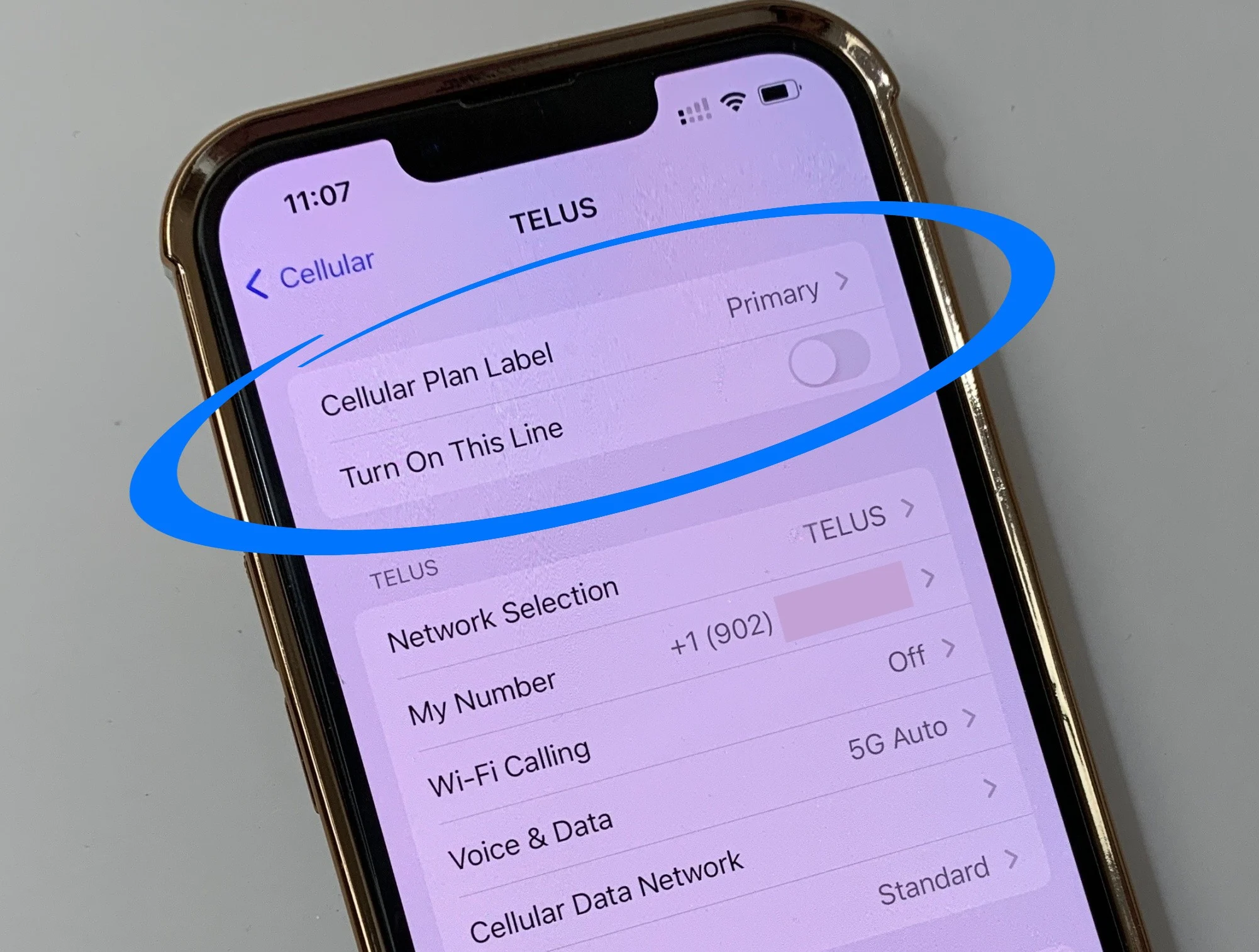 Activate your eSIM and toggle your Primary SIM off