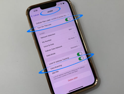 Activate iPhone eSIM by turning on Data Roaming