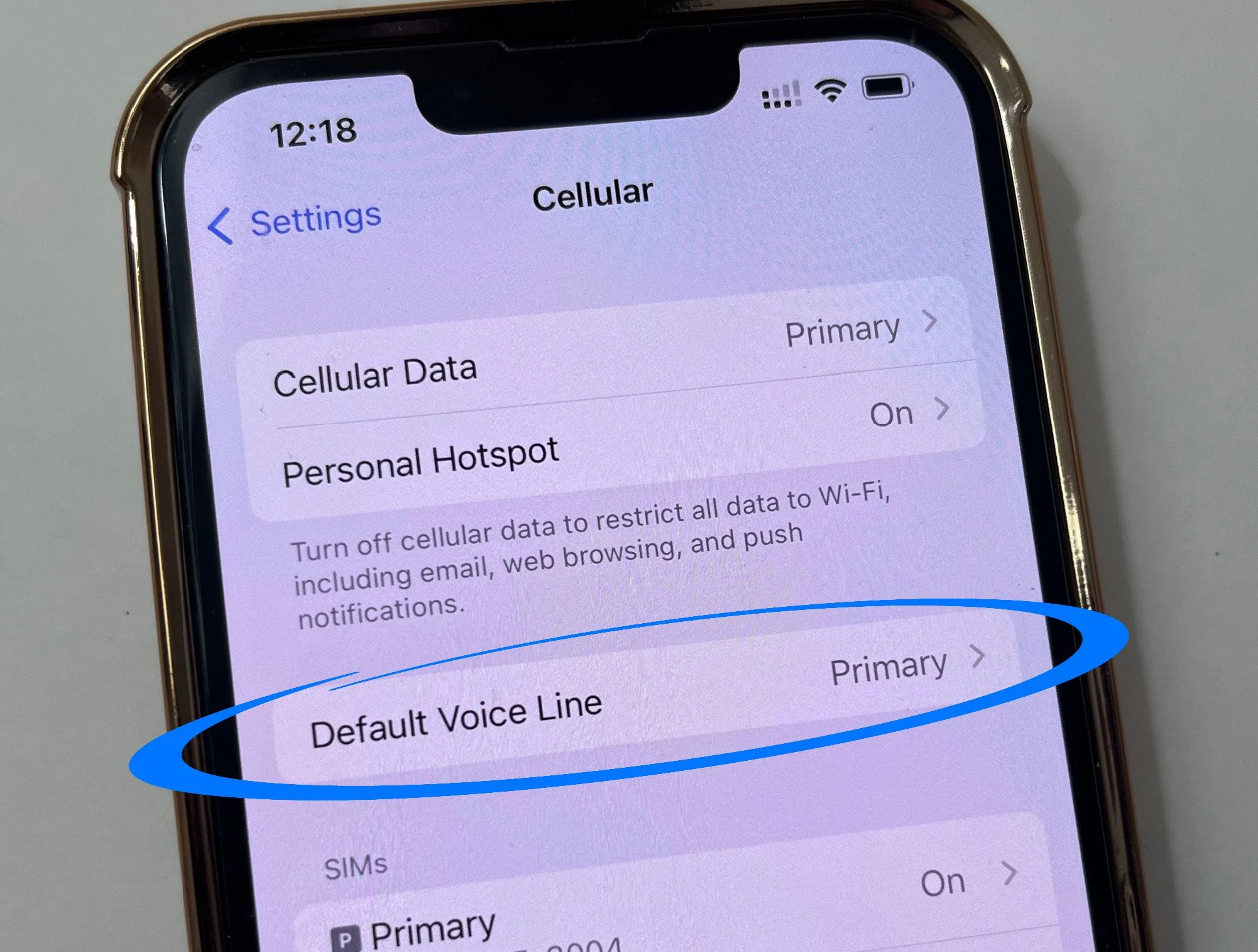 Default Voice Line is always Primary