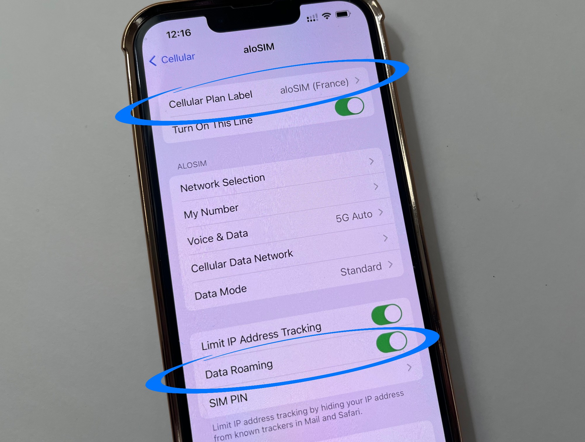 How To Avoid Data Roaming Charges On Your IPhone AloSIM