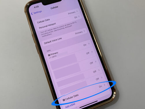 Activate your eSIM iPhone by going to Settings / Cellular and selecting your newly installed eSIM