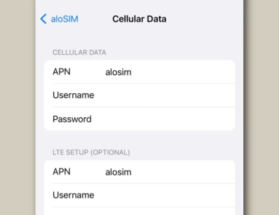 Make sure your APN is alosim