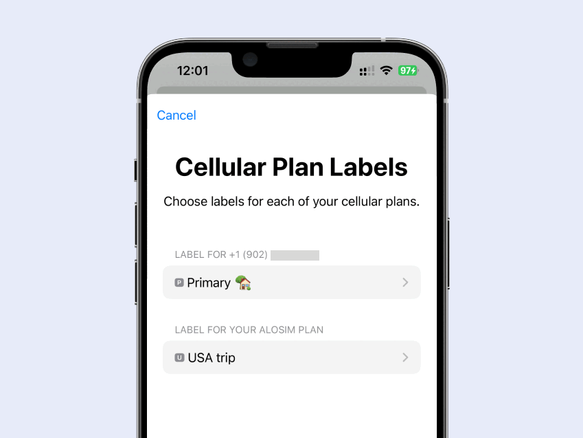 68ade7438ff83-How to install eSIM on iPhone Step 4AB new