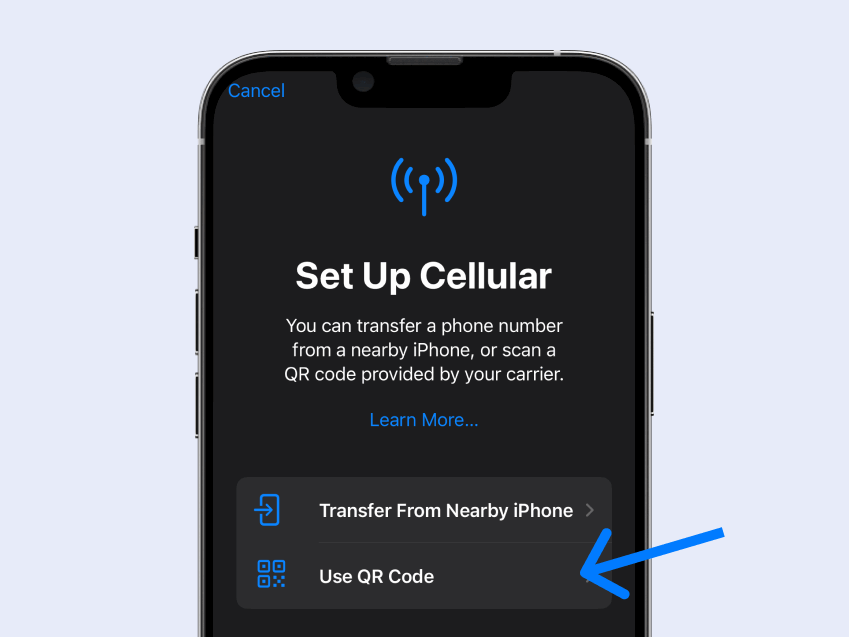 68af343100b08-How to install iPhone eSIM with manual method option
