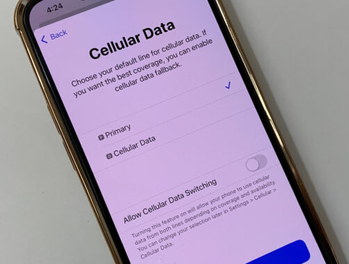 Choose your Primary SIM as your iPhone's Cellular Data source for now