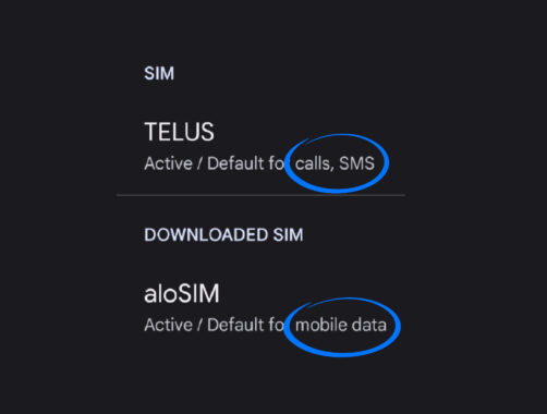 How to activate Google Pixel eSIM _ Primary SIM for calls SMS, aloSIM for all mobile data