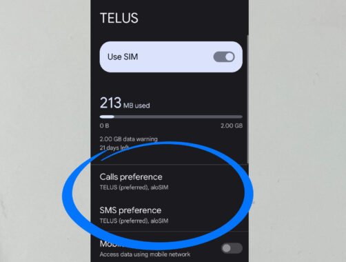 How to activate Google Pixel eSIM _ Select Calls preference and SMS preference