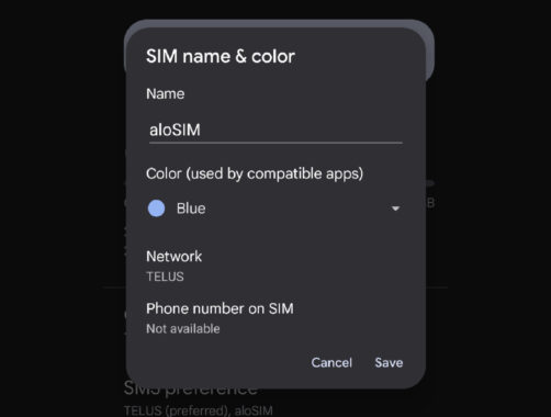 How to install your Google Pixel eSIM from aloSIM _ Choose SIM name and color