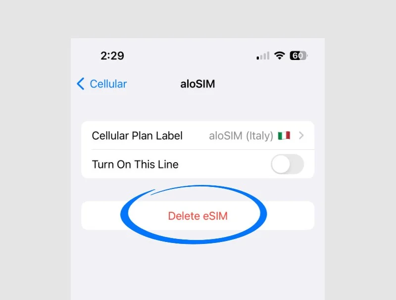 How to remove eSIM from iPhone