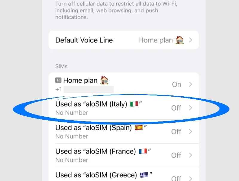Select the eSIM you want to remove from your iPhone
