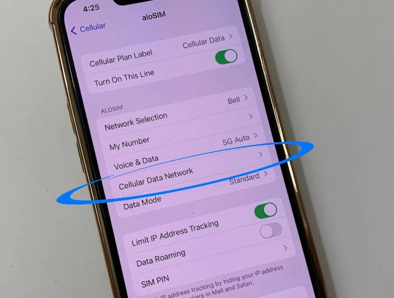 What's the correct iPhone eSIM APN setting?