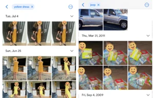 Google Photos lets you search terms to find specific photos or videos in your library