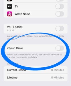 Make sure 'iCloud Drive' is toggled off, so your iPhone can only do backups when you're connected to Wi-Fi