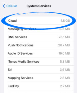 iCloud data back-ups had used 1.8GB of data in a single day