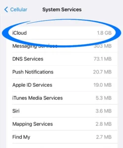 iCloud data back-ups had used 1.8GB of data in a single day