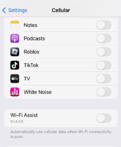 Prevent excessive data usage by limiting which iPhone apps can use data