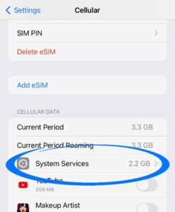 'System Services' can use a lot of data without you even realizing