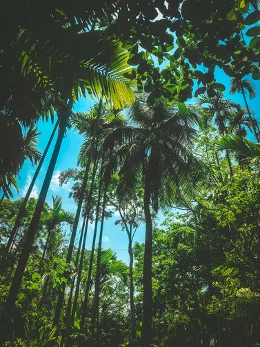 Bangladesh-esim-data-from-alosim