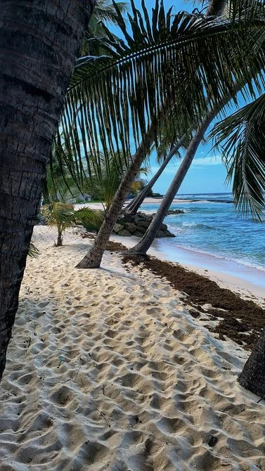 Barbados-esim-data-from-alosim