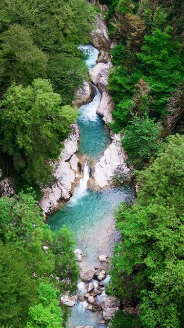 Georgia