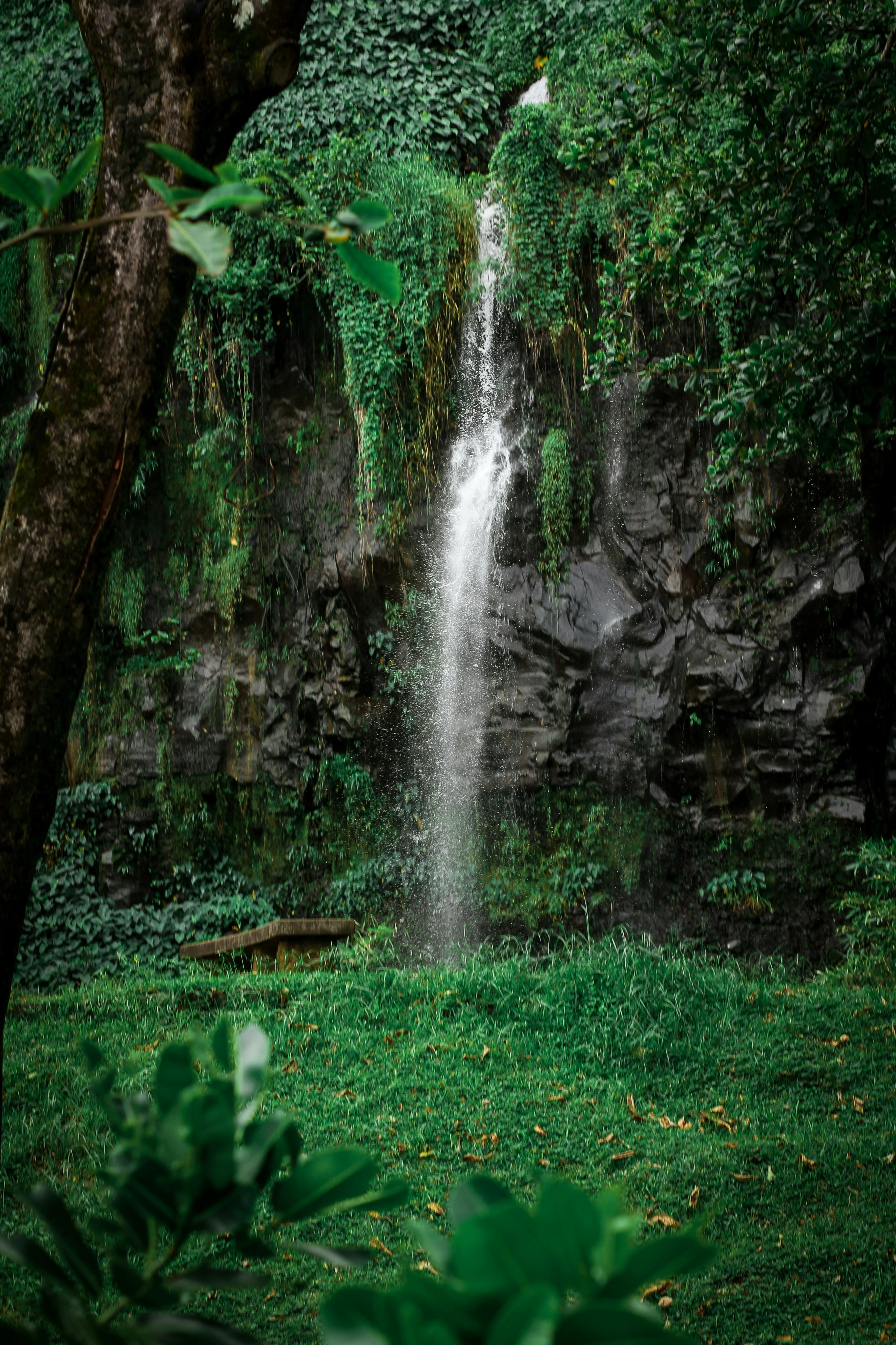 Réunion