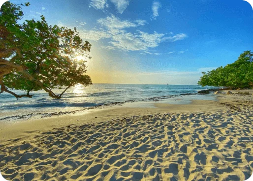 Aruba eSIM