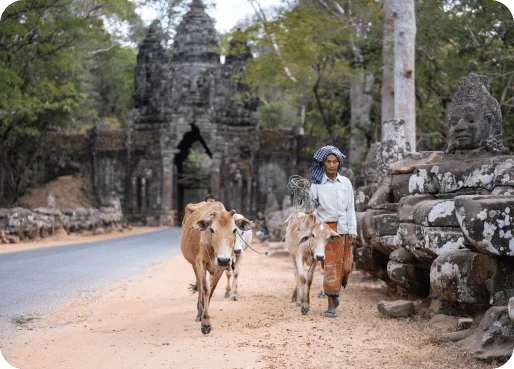cambodia-esim-why-esim-2