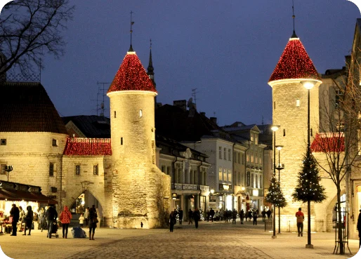 estonia-esim-why-esim-1