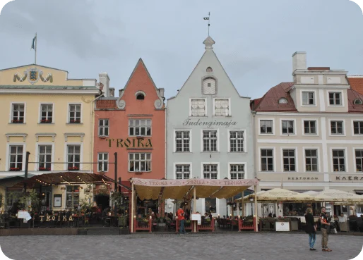 estonia-esim-why-esim-2
