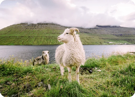 Faroe Islands eSIM